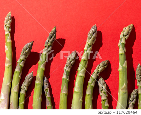 Green asparagus on red background. Vegetable food top view. 117029464