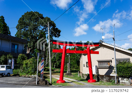 智賀尾神社 智賀尾神社 117029742