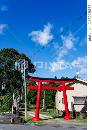 智賀尾神社 智賀尾神社 117029845