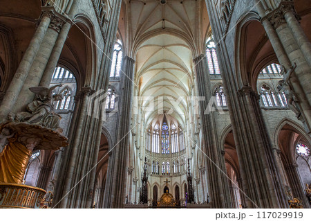 cathedral of Amiens, france 117029919
