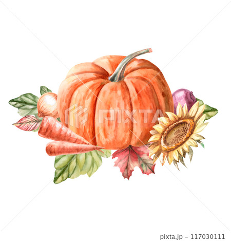 Composition of pumpkin, leaves, sunflower, onion, carrot, beet drawn in watercolor. Illustration on the theme of harvest, for fairs, packaging, invitations. Illustration isolated from the background. 117030111