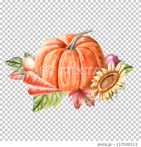 Composition of pumpkin, leaves, sunflower, onion, carrot, beet drawn in watercolor. Illustration on the theme of harvest, for fairs, packaging, invitations. Illustration isolated from the background. 117030111