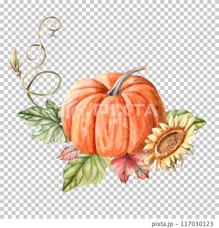 Composition of pumpkin, leaves, sunflower, climbing stem painted in watercolor. Illustration on the theme of autumn, for fairs, packaging, invitations. Illustration isolated from the background. Composition of pumpkin, leaves, sunflower, climbing stem painted in watercolor. Illustration on the theme of autumn, for fairs, packaging, invitations. Illustration isolated from the background. 117030123