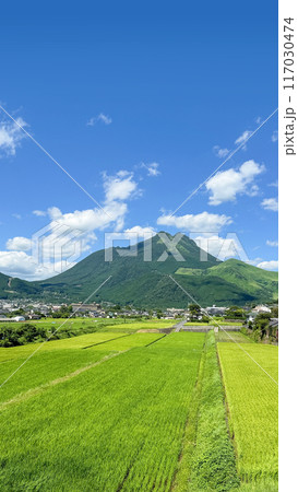 新緑の湯布院盆地 田園風景 新緑の湯布院盆地 田園風景 117030474