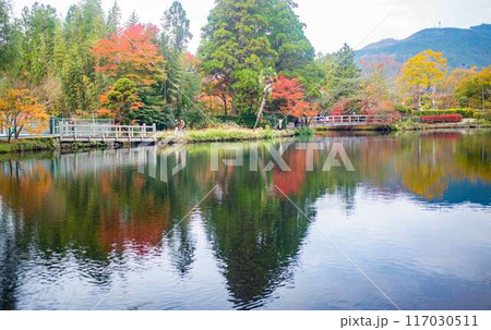 湯布院 金鱗湖の紅葉 湯布院 金鱗湖の紅葉 117030511