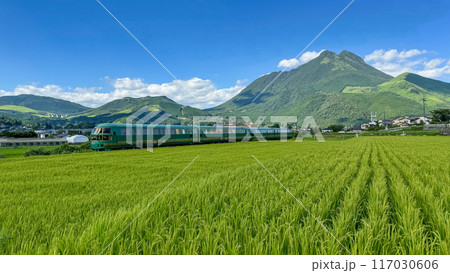 湯布院　由布岳と新緑の田園を走るゆふいんの森 117030606