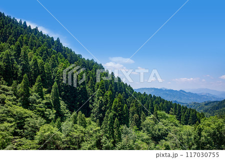 新緑の山並みと青空 新緑の山並みと青空 117030755