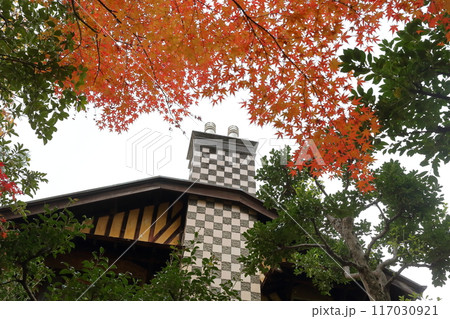 斬新な模様の日本家屋 117030921