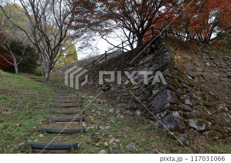 紅葉と城跡（市場城址　愛知県 豊田市） 117031066