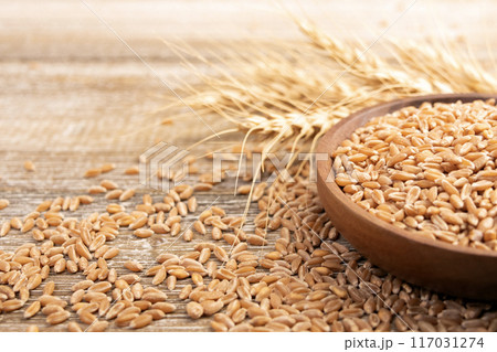 Wheat in a plate on a wooden table and dry yellow ears. Wheat in a plate on a wooden table and dry yellow ears. 117031274