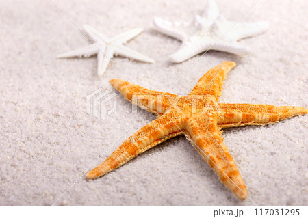 Border with yellow and white star fish and seashells on the sand. Border with yellow and white star fish and seashells on the sand. 117031295