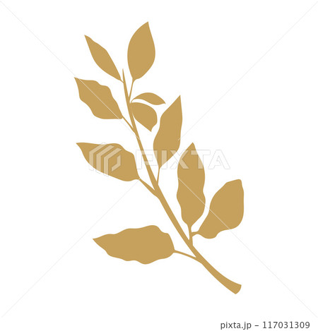 Isolated leaf icon Foliage Vector Isolated leaf icon Foliage Vector 117031309