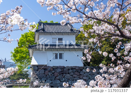 大分府内城址と桜 117031337