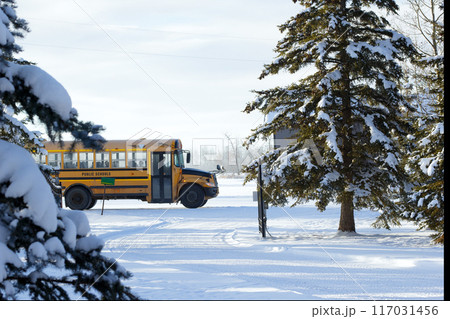 Yellow school bus arrived to remote location in winter. Yellow school bus arrived to remote location in winter. 117031456