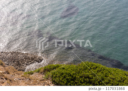 Rocky Shore with Clear Water 117031868