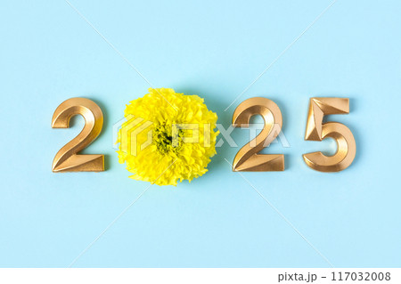 Gold numbers and yellow marigolds flower on blue background. 2025 new year idea concept. Simple and clean design Happy New Year 2025 and Merry Christmas. Flat lay 117032008