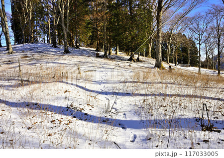 丹沢山地のヨモギ平　雪原に続くトレース 117033005