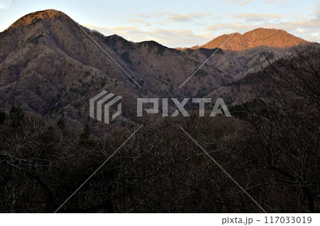丹沢の檜洞丸より 朝を迎える箒沢権現山と朝焼けに染まる畦ヶ丸の頂 丹沢の檜洞丸より 朝を迎える箒沢権現山と朝焼けに染まる畦ヶ丸の頂 117033019