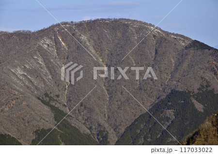 丹沢の檜洞丸より　朝日を浴びる山梨百名山の大室山 117033022