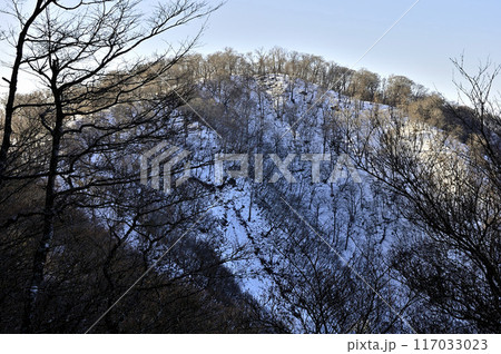 丹沢の檜洞丸より 朝日の石棚山稜 テシロノ頭 丹沢の檜洞丸より 朝日の石棚山稜 テシロノ頭 117033023