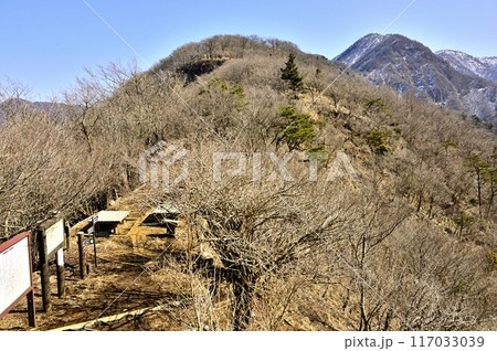 丹沢　大室山の犬越路より眺める丹沢主稜の大笄と檜洞丸 117033039