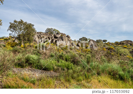Driving through Parque Natural da Serra de Sao Mamede. Alentejo. Portugal. Cork trees natural resources Landscape. Driving through Parque Natural da Serra de Sao Mamede. Alentejo. Portugal. Cork trees natural resources Landscape. 117033092