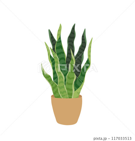 Vector illustration of potted Ficus plant in flat style. Perfect for home decor, eco-friendly designs, and botanical projects. Enhance your interiors with this stylish, vibrant houseplant graphic. Vector illustration of potted Ficus plant in flat style. Perfect for home decor, eco-friendly designs, and botanical projects. Enhance your interiors with this stylish, vibrant houseplant graphic. 117033513