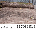 Construction worker thermally insulating house mineral wool attic with glass wool 117033518