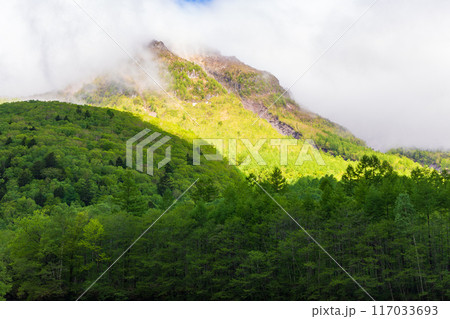 日本屈指の山岳リゾート　新緑の上高地　焼岳 117033693