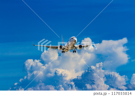 青空を飛ぶ旅客機 117033814
