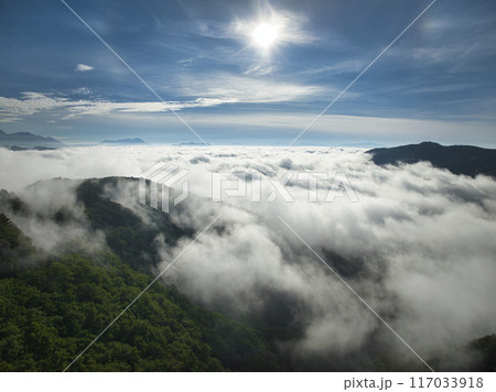 黒沢高原から見る壮大な雲海　長野県大町市（ドローンによる空撮） 117033918