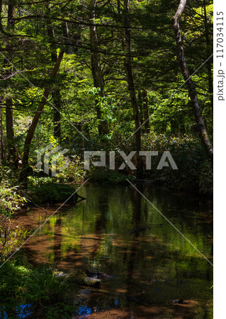 日本屈指の山岳リゾート　新緑の上高地　明神池 117034115