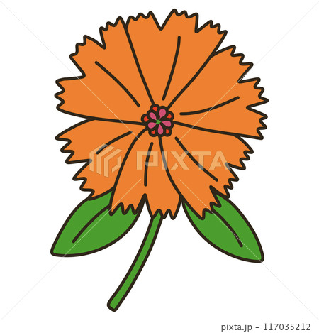 ガンピセンノウ 117035212