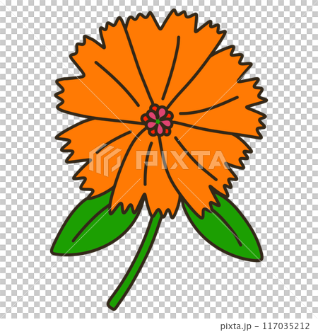 ガンピセンノウ 117035212