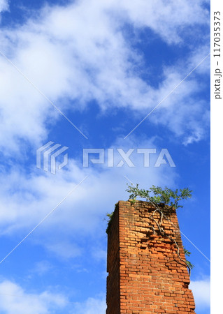 青空にそびえる煉瓦造りの歴史的建物 117035373