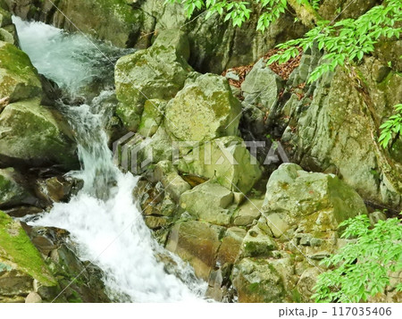 お仙ヶ峡の岩肌と武石川の流れ お仙ヶ峡の岩肌と武石川の流れ 117035406