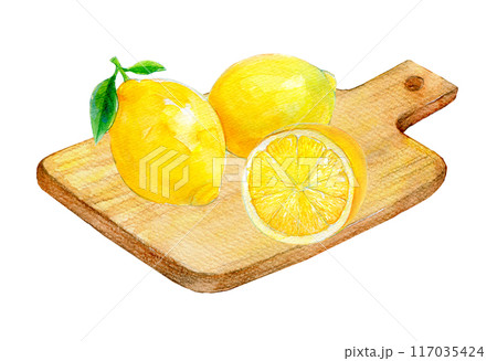 水彩イラスト まな板の上のレモン 水彩イラスト まな板の上のレモン 117035424