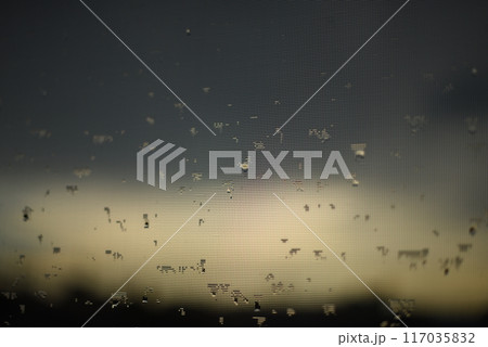 網戸についた水滴 117035832