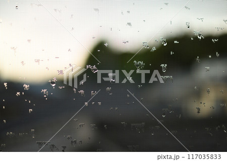 網戸についた水滴 117035833