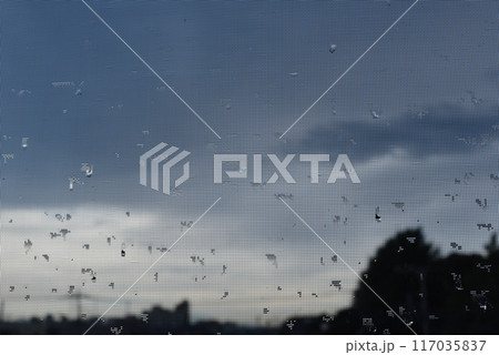 網戸についた水滴 網戸についた水滴 117035837