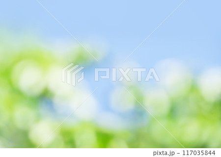 新緑と青空　コピースペース 117035844