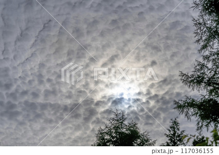 太陽の光が見える高層雲の隙間雲・忍野村 117036155