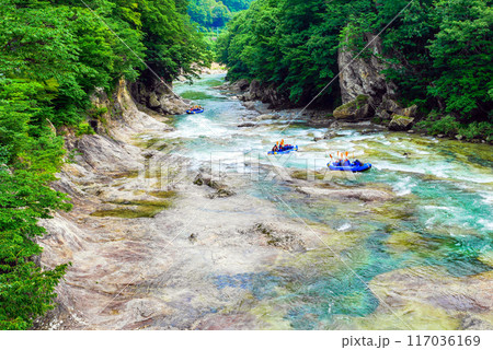 初夏の渓谷を下る1 初夏の渓谷を下る1 117036169