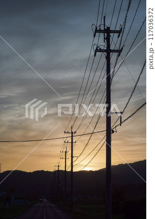 夕暮れの空に電柱が並ぶ風景 夕暮れの空に電柱が並ぶ風景 117036372
