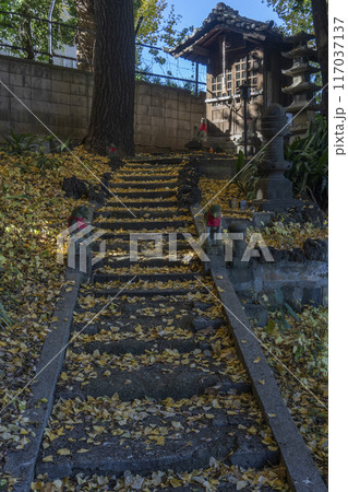 銀杏落葉の積もる石段の上に祀られた稲荷・文京区小石川・澤蔵司稲荷 117037137