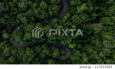 Aerial view asphalt road curve in jungle green forest with truck car winding road through the green forest, Truck car drive on the curve road between green forest, Curve road in woodland outdoor 117037884