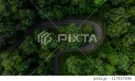Aerial view asphalt road on green forest, Curve asphalt road on mountain green forest, Countryside road passing green forrest and mountain. Aerial view asphalt road on green forest, Curve asphalt road on mountain green forest, Countryside road passing green forrest and mountain. 117037896