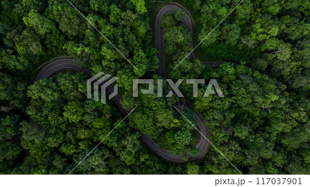 Aerial view asphalt road on green forest, Curve asphalt road on mountain green forest, Countryside road passing green forrest and mountain. Aerial view asphalt road on green forest, Curve asphalt road on mountain green forest, Countryside road passing green forrest and mountain. 117037901