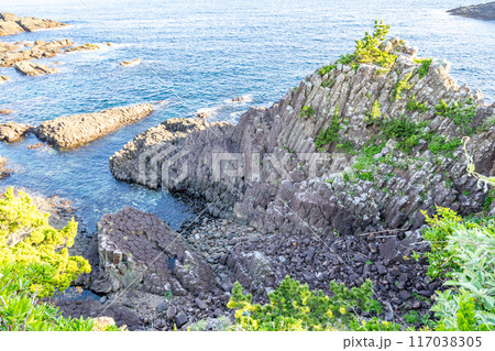 俵磯の柱状節理　数100万年前の海底火山の地下でマグマが冷え固まる際の収縮によってできた六角形の俵石 117038305