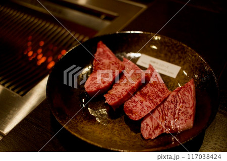 厳選飛騨牛上ロースを焼肉で食べる 厳選飛騨牛上ロースを焼肉で食べる 117038424